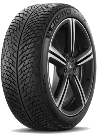 Michelin Pilot Alpin 5