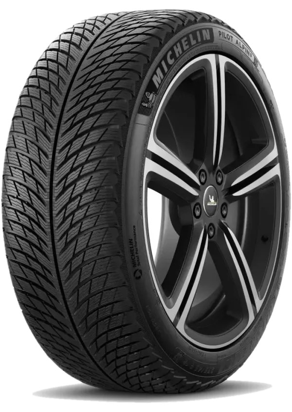 Michelin Pilot Alpin 5
